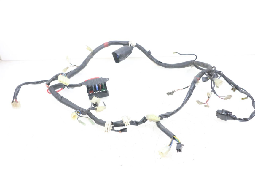 photo de WIRE HARNESS YAMAHA XJS DIVERSION 600 (1997 - 1999)