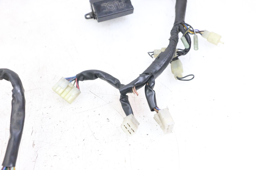 photo de WIRE HARNESS YAMAHA XJS DIVERSION 600 (1997 - 1999)