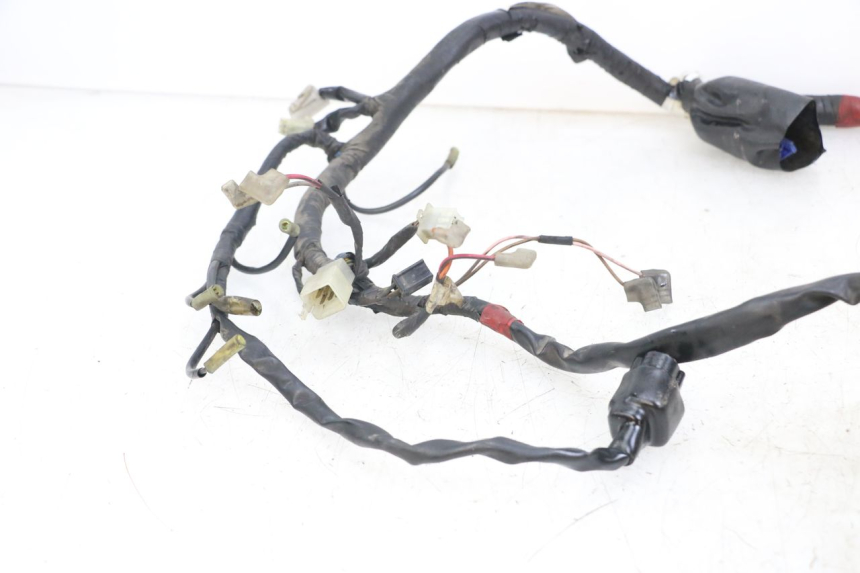 photo de WIRE HARNESS YAMAHA XJS DIVERSION 600 (1997 - 1999)