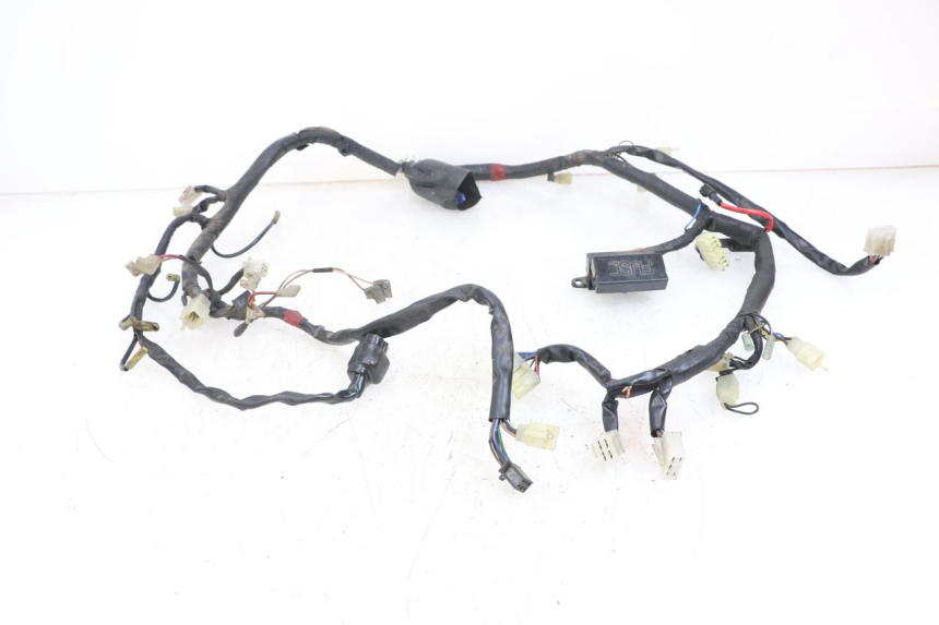 photo de WIRE HARNESS YAMAHA XJS DIVERSION 600 (1997 - 1999)