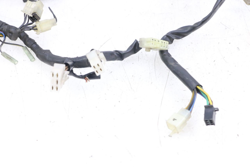 photo de WIRE HARNESS YAMAHA XJS DIVERSION 600 (1997 - 1999)