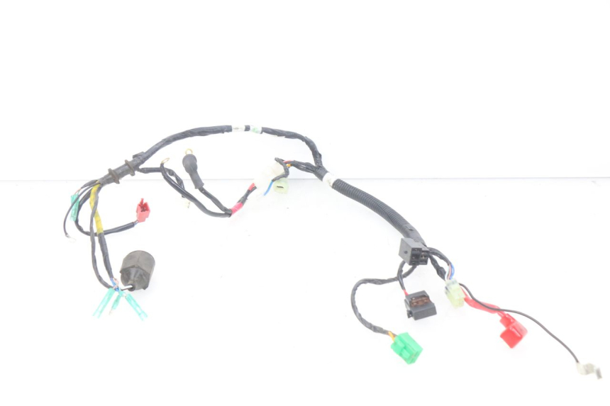 photo de WIRING HARNESS YAMAHA YFM R RAPTOR 90 (2017 - 2023)