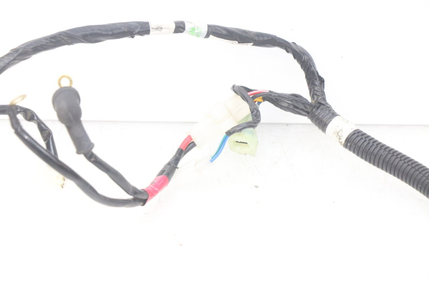 photo de WIRING HARNESS YAMAHA YFM R RAPTOR 90 (2017 - 2023)