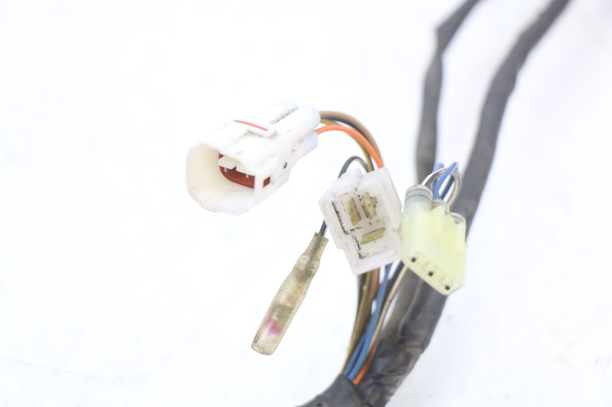 photo de WIRING HARNESS YAMAHA YP MAJESTY 125 (2002 - 2006)