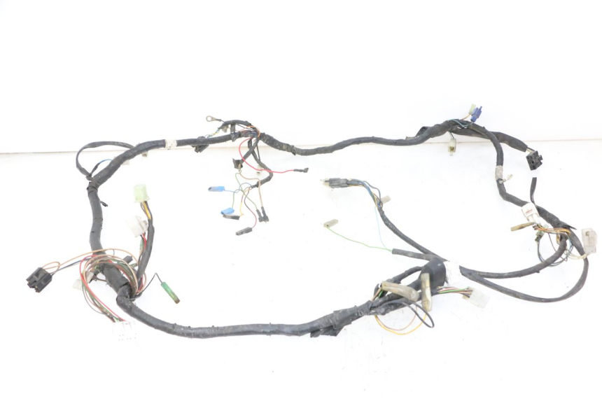 photo de WIRING HARNESS YAMAHA YP MAJESTY 125 (2007 - 2010)