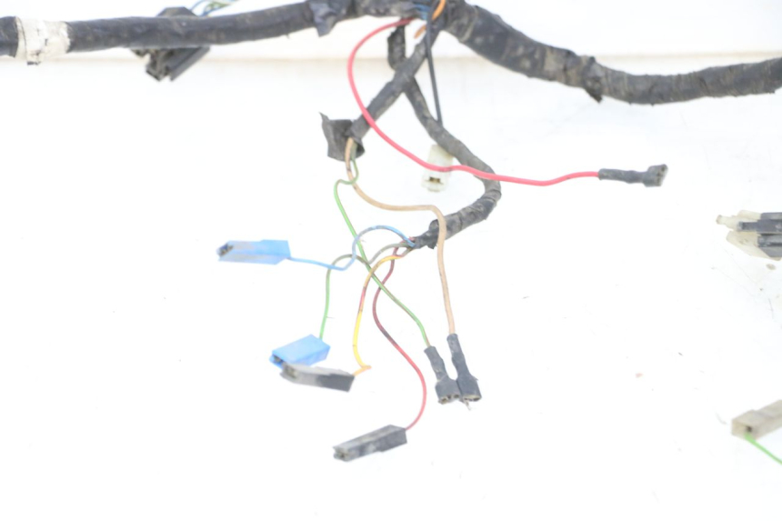photo de WIRING HARNESS YAMAHA YP MAJESTY 125 (2007 - 2010)