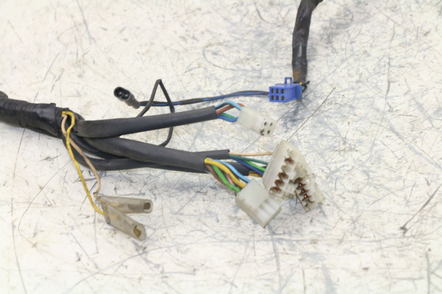photo de WIRING HARNESS YAMAHA YP MAJESTY 125 (1998 - 2001)