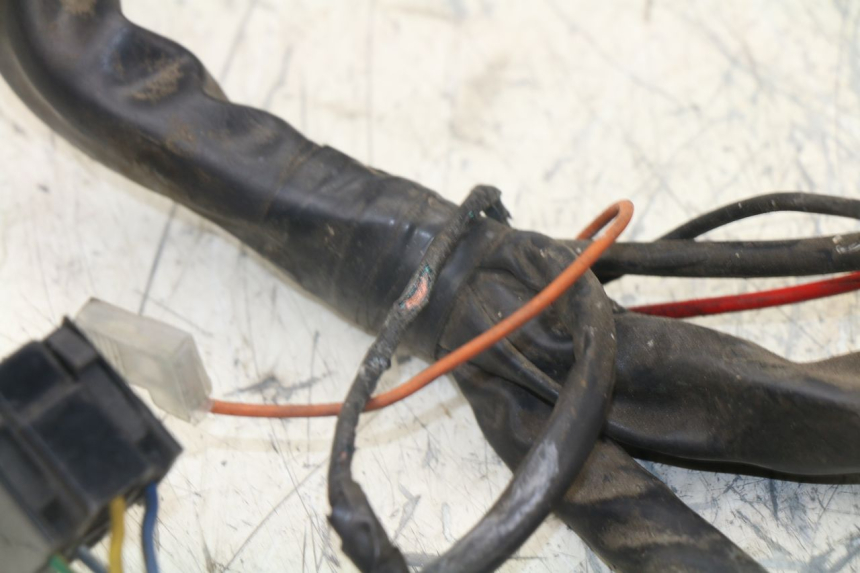 photo de WIRING HARNESS YAMAHA YP MAJESTY 125 (1998 - 2001)