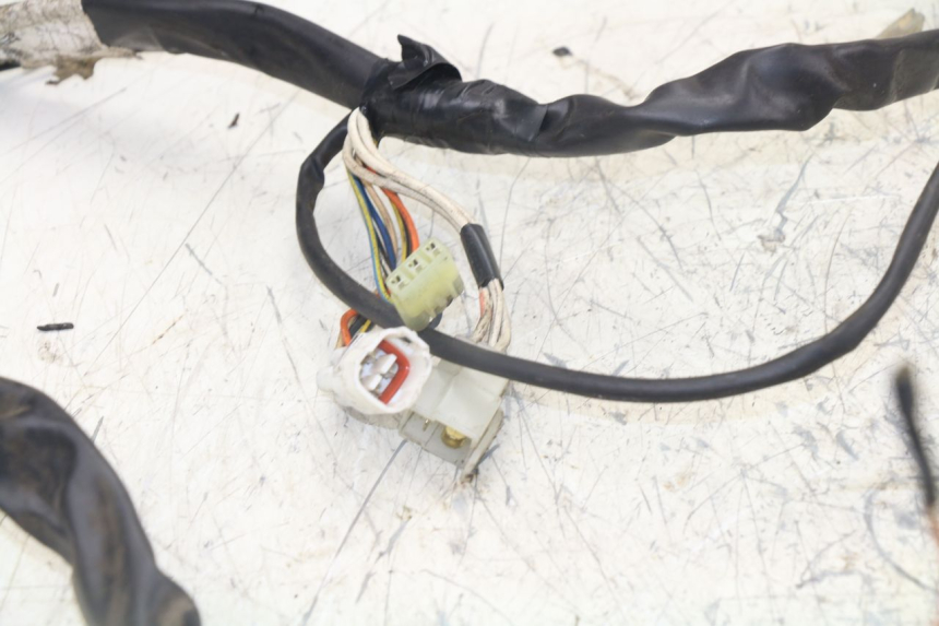 photo de WIRING HARNESS YAMAHA YP MAJESTY 125 (1998 - 2001)