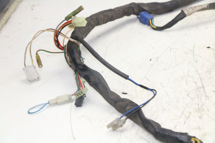 photo de WIRING HARNESS YAMAHA YP MAJESTY 125 (1998 - 2001)