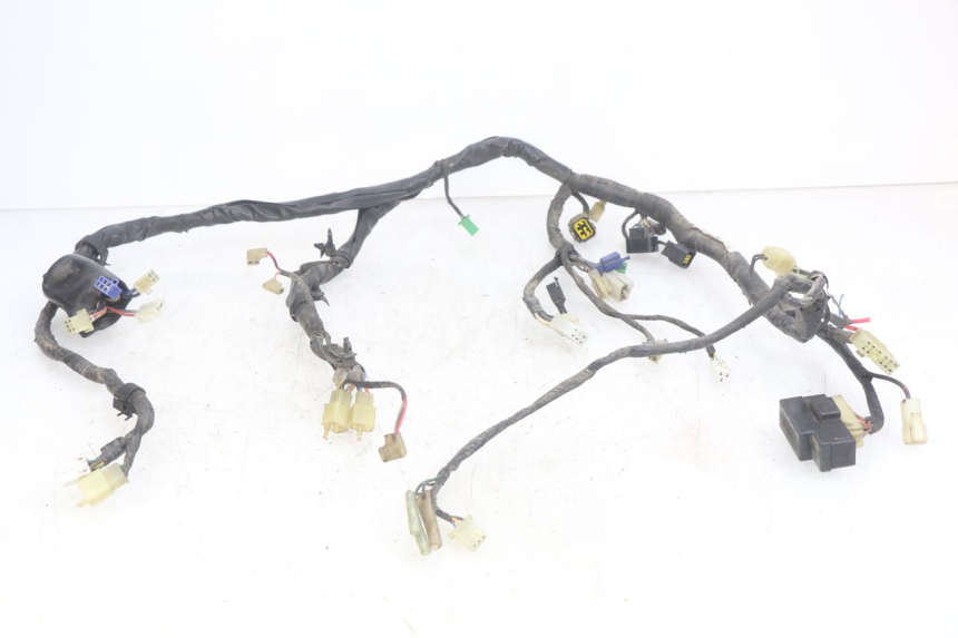 photo de WIRING HARNESS YAMAHA YZF R THUNDERCAT 600 (1996 - 2003)