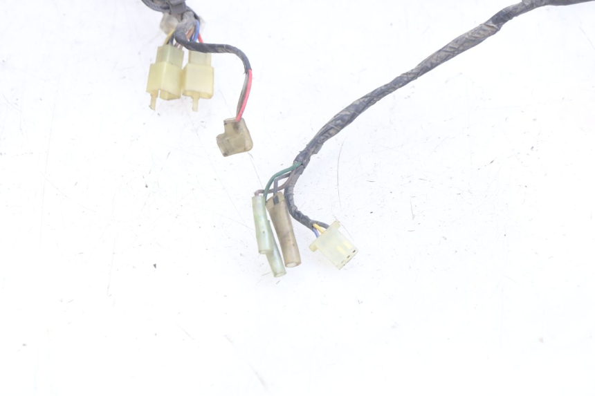 photo de WIRING HARNESS YAMAHA YZF R THUNDERCAT 600 (1996 - 2003)