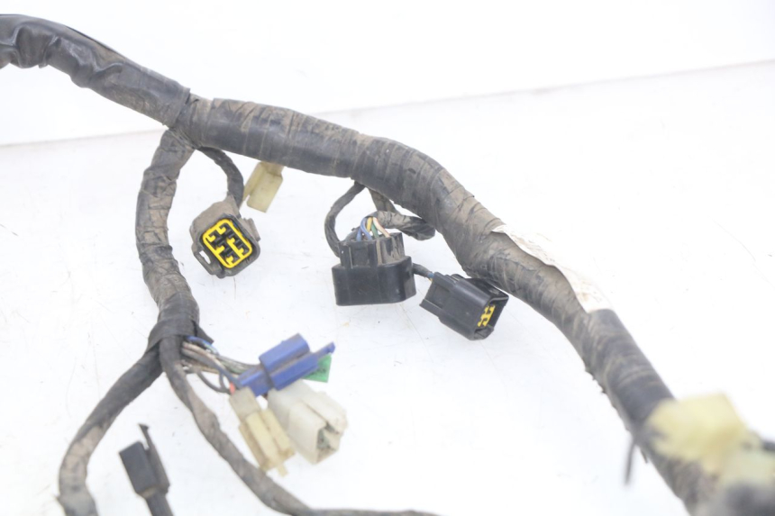 photo de WIRING HARNESS YAMAHA YZF R THUNDERCAT 600 (1996 - 2003)