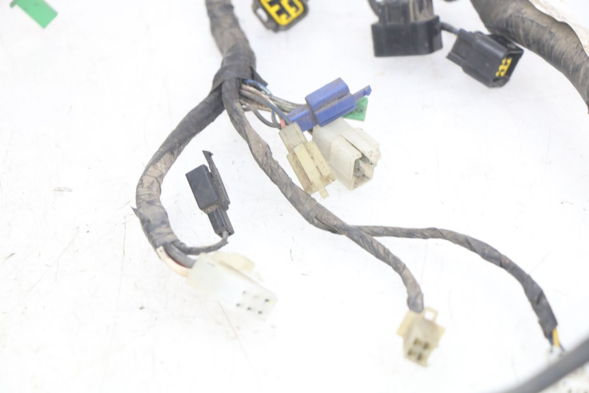 photo de WIRING HARNESS YAMAHA YZF R THUNDERCAT 600 (1996 - 2003)