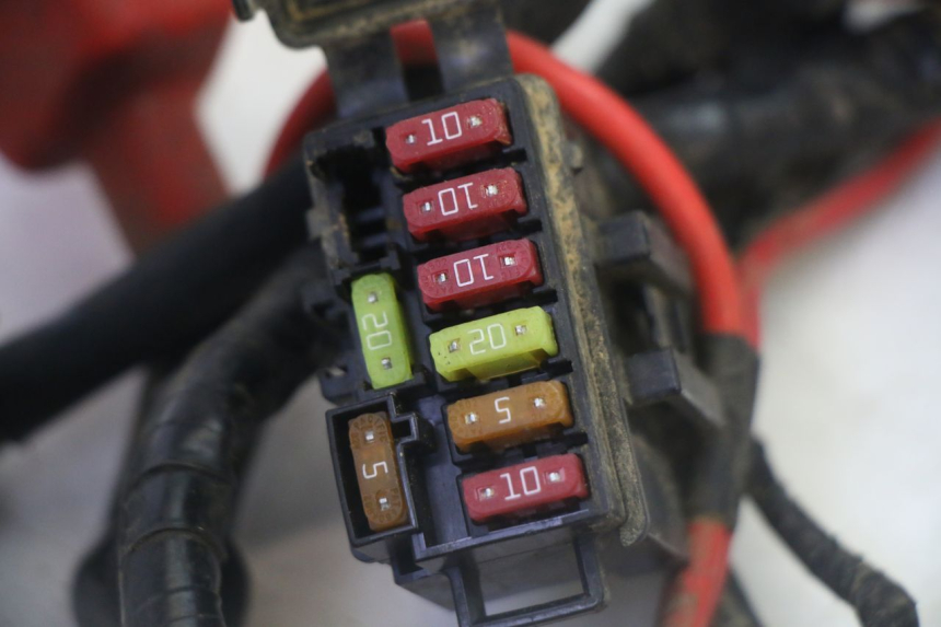 photo de WIRE HARNESS YAMAHA YFM GRIZZLY 550 (2008 - 2015)