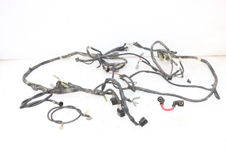 photo de WIRE HARNESS YAMAHA YFM R RAPTOR 250 (2008 - 2014) - Main view