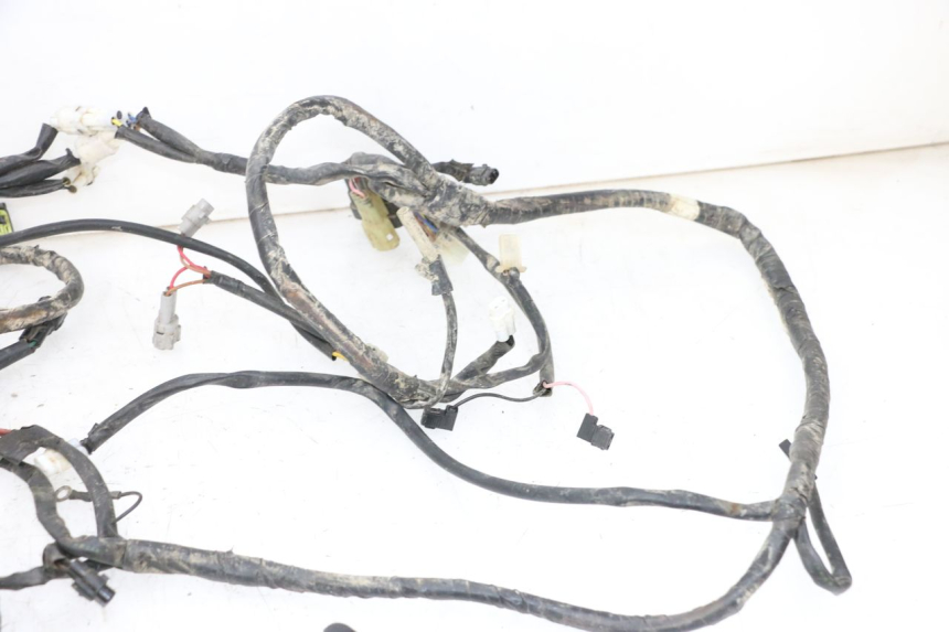 photo de WIRE HARNESS YAMAHA YFM R RAPTOR 250 (2008 - 2014) - Distinctive features