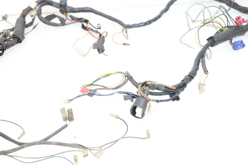 photo de WIRE HARNESS YAMAHA YN NEO'S 50 (1997 - 2004)