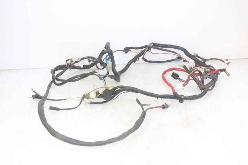 photo de WIRING HARNESS YAMAHA YP MAJESTY 125 (2007 - 2010)