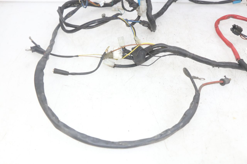 photo de WIRING HARNESS YAMAHA YP MAJESTY 125 (2007 - 2010)