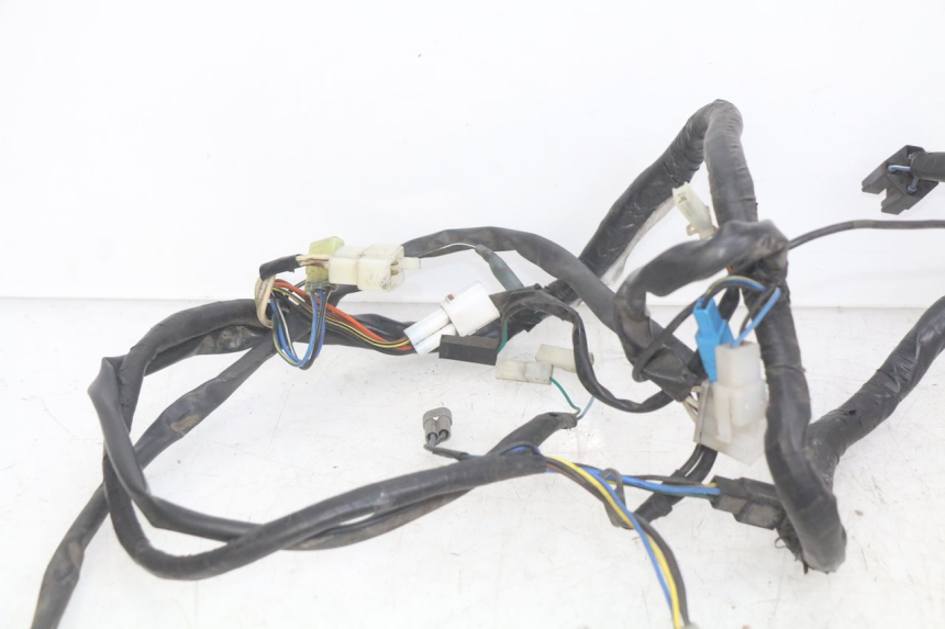 photo de WIRING HARNESS YAMAHA YP MAJESTY 125 (2007 - 2010)