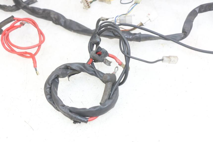 photo de WIRING HARNESS YAMAHA YP MAJESTY 125 (1998 - 2001)