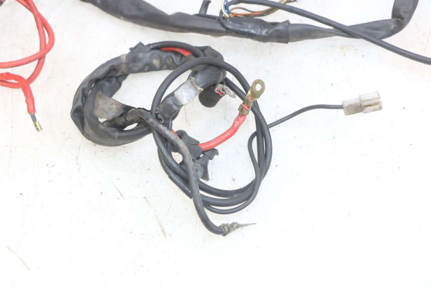 photo de WIRING HARNESS YAMAHA YP MAJESTY 125 (1998 - 2001)