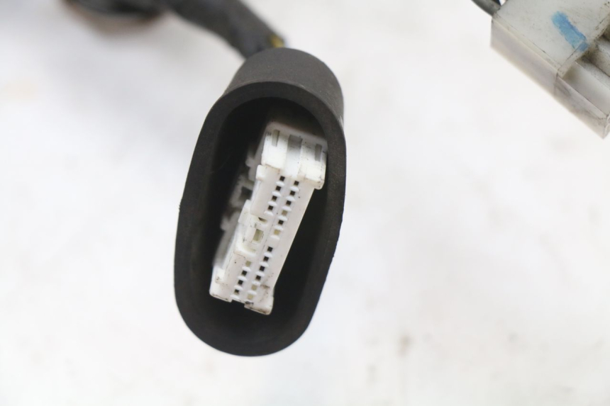 photo de WIRING HARNESS YAMAHA YP MAJESTY 125 (2002 - 2006)