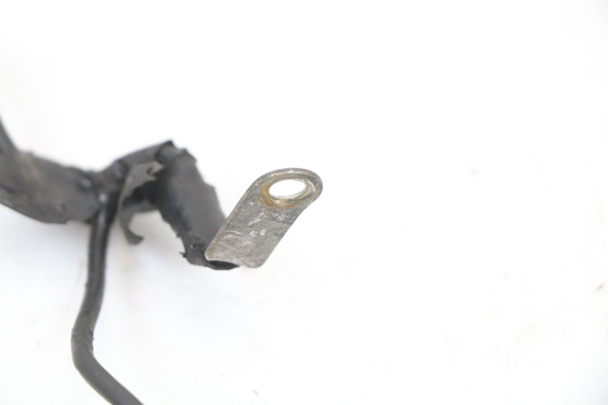 photo de WIRING HARNESS YAMAHA YP MAJESTY 125 (2002 - 2006)