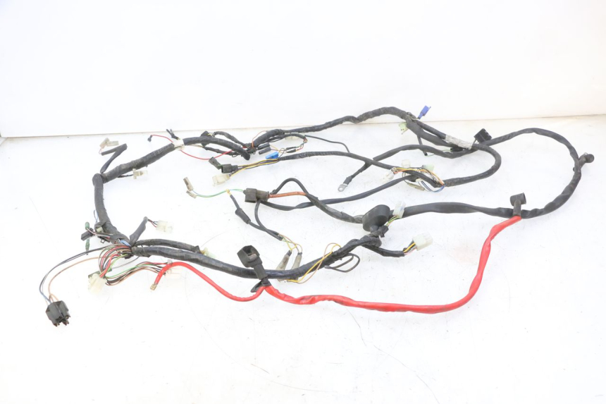 photo de WIRING HARNESS YAMAHA YP MAJESTY 125 (2007 - 2010)