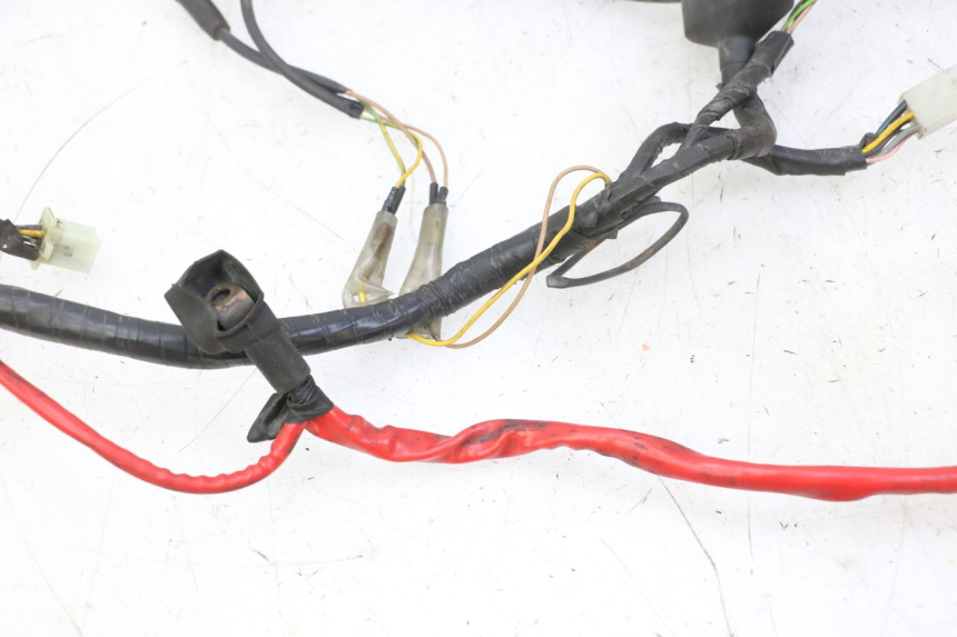 photo de WIRING HARNESS YAMAHA YP MAJESTY 125 (2007 - 2010)