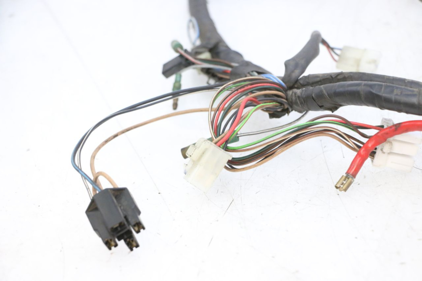 photo de WIRING HARNESS YAMAHA YP MAJESTY 125 (2007 - 2010)