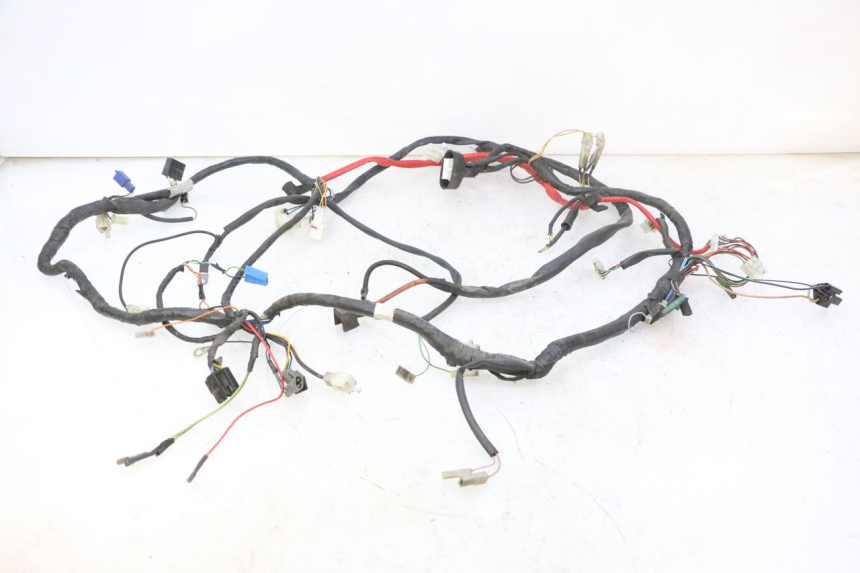 photo de WIRING HARNESS YAMAHA YP MAJESTY 125 (2007 - 2010)