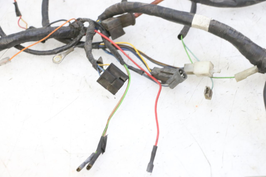 photo de WIRING HARNESS YAMAHA YP MAJESTY 125 (2007 - 2010)