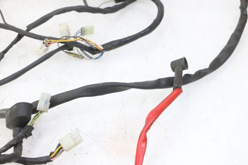 photo de WIRING HARNESS YAMAHA YP MAJESTY 125 (2007 - 2010)