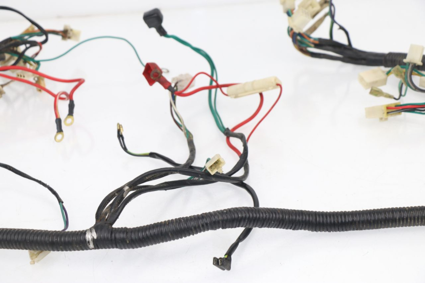 photo de WIRE HARNESS ZHONGYU MOVIDAS 50 (2004 - 2007)