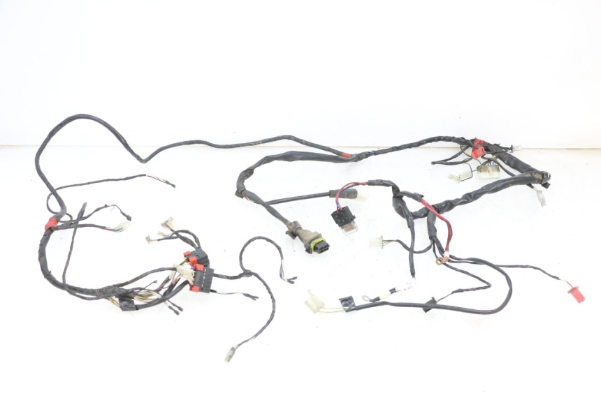 photo de WIRING HARNESS PIAGGIO ZIP 2T 50 (2009 - 2019) - Main view