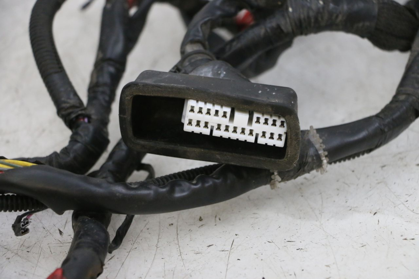 photo de WIRING HARNESS PIAGGIO ZIP 4T 50 (2018 - 2020) - Component detail
