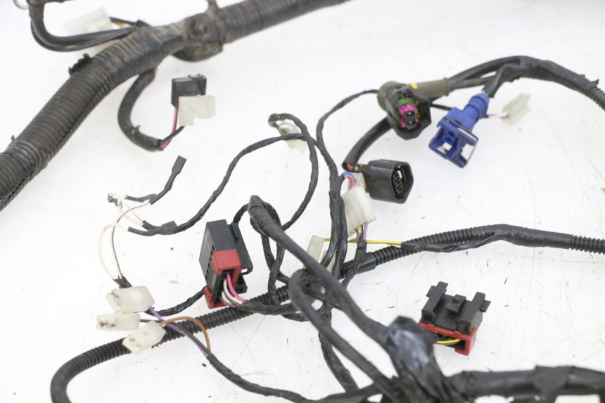 photo de WIRING HARNESS PIAGGIO ZIP 4T 50 (2018 - 2020) - High-resolution close-up