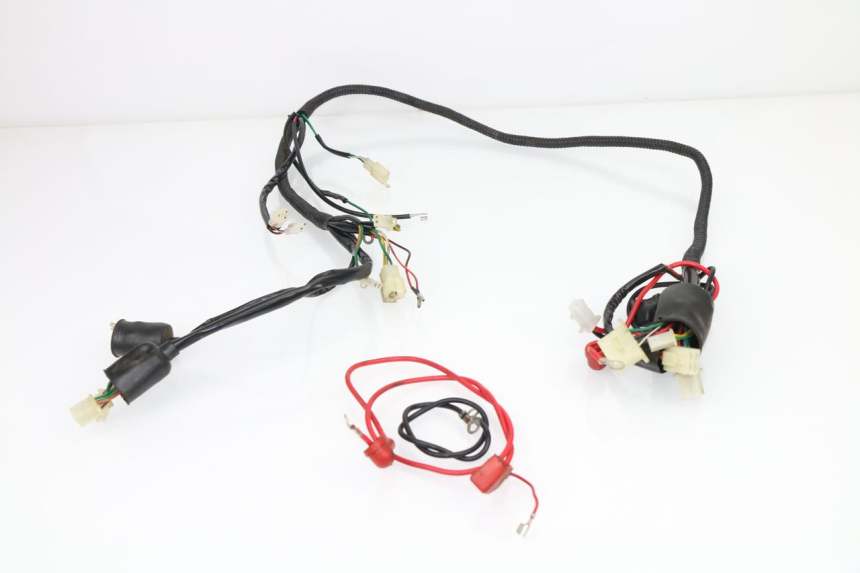 photo de WIRE HARNESS ZNEN NEW ROLANDO 50 (2010 - 2020)