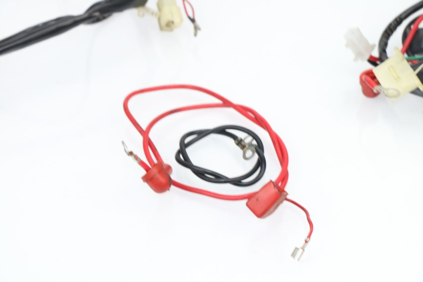 photo de WIRE HARNESS ZNEN NEW ROLANDO 50 (2010 - 2020)