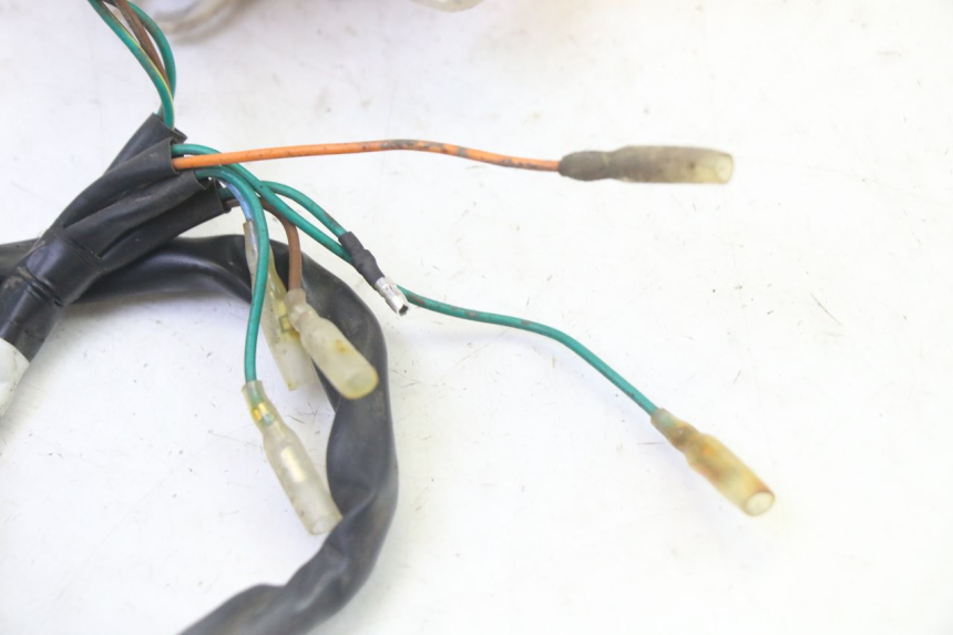 photo de REAR LIGHT SYM CROX 4T 50 (2016 - 2023)