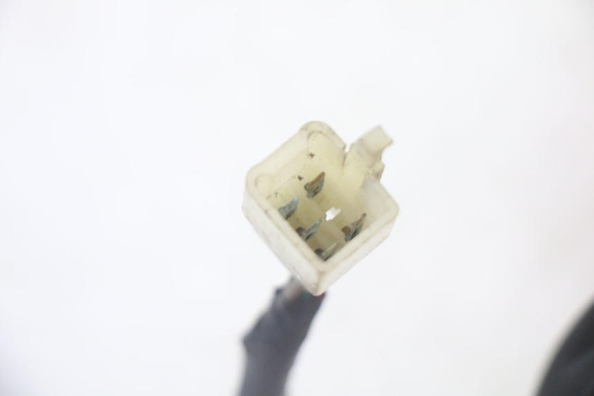 photo de REAR LIGHT SYM CROX 4T 50 (2016 - 2023)