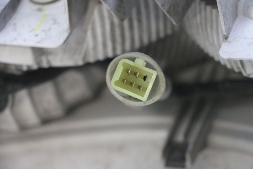 photo de TAIL LIGHT HONDA FORZA ABS 300 (2013 - 2019)