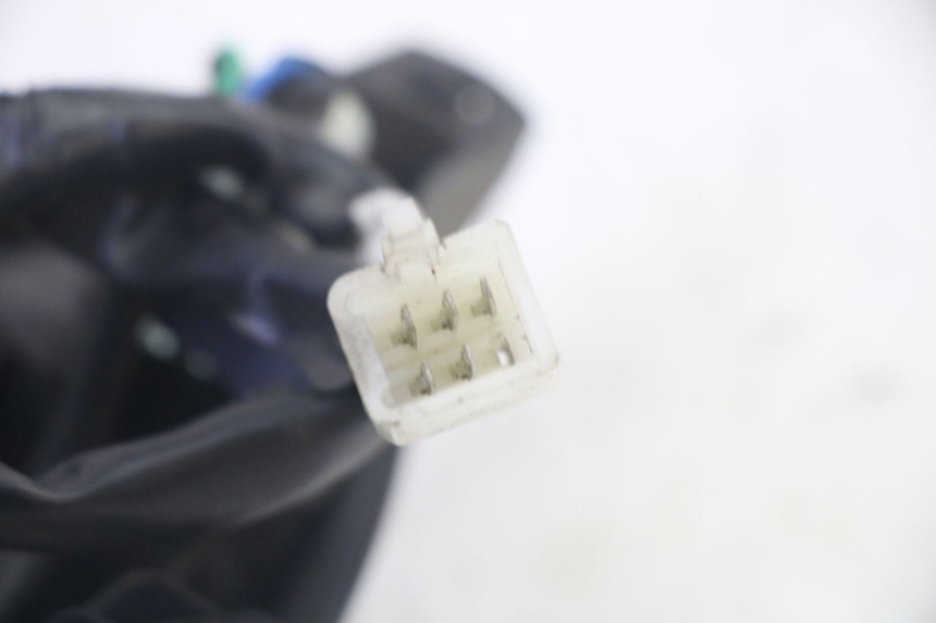 photo de TAIL LIGHT PEUGEOT TWEET PRO EFI 4T 50 (2021 - 2022)