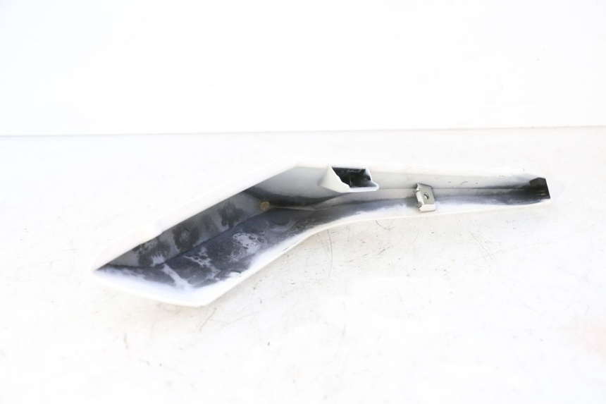 photo de REAR RIGHT PANEL BMW G310 R 310 (2016 - 2020)