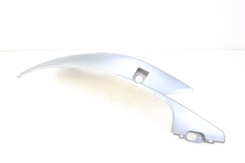 photo de RIGHT REAR SIDE PANEL JM MOTORS EVOLIS 4T 50 (2018 - 2022)