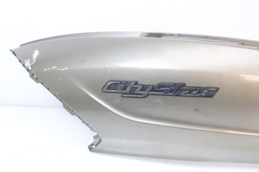 photo de REAR LEFT PANEL PEUGEOT CITYSTAR 50 (2013 - 2017)