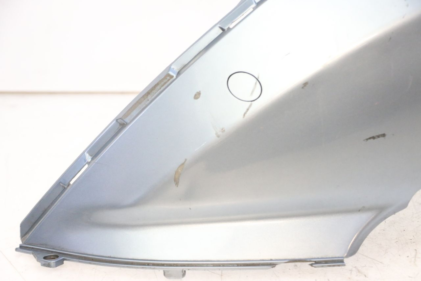 photo de REAR LEFT PANEL DAELIM HISTORY 125 (2001 - 2002)