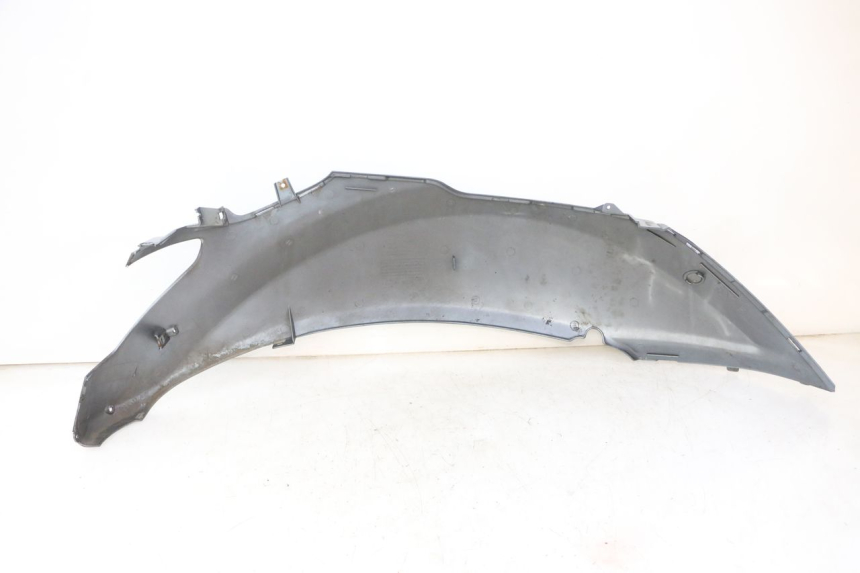 photo de REAR LEFT PANEL DAELIM HISTORY 125 (2001 - 2002)